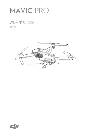 DJI大疆御 Mavic Pro 铂金版